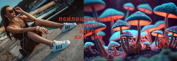 каннабис Алзамай